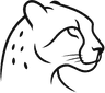 RapidoSwap Logo